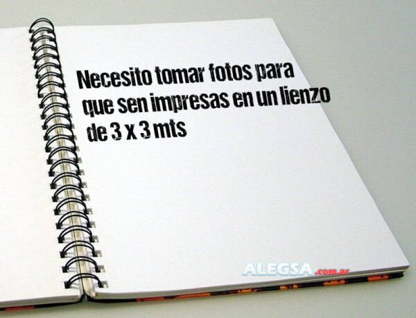 Necesito tomar fotos para que sen impresas en un lienzo de 3 x 3 mts