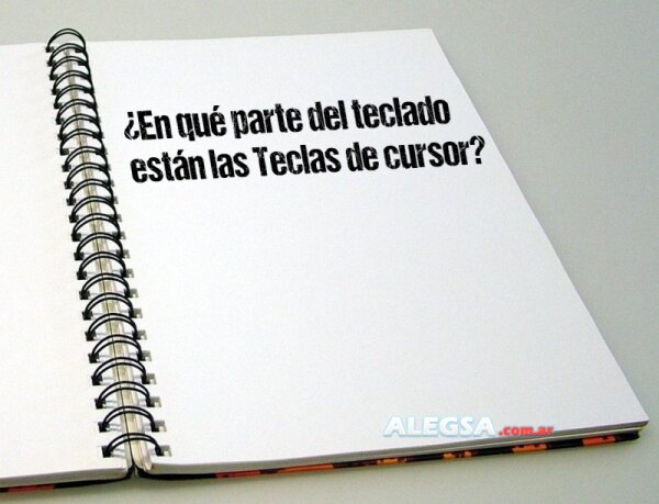 ¿En qué parte del teclado están las Teclas de cursor?