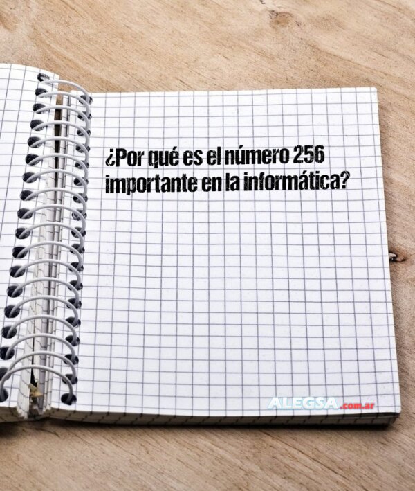 ¿Por qué es el número 256 importante en la informática?