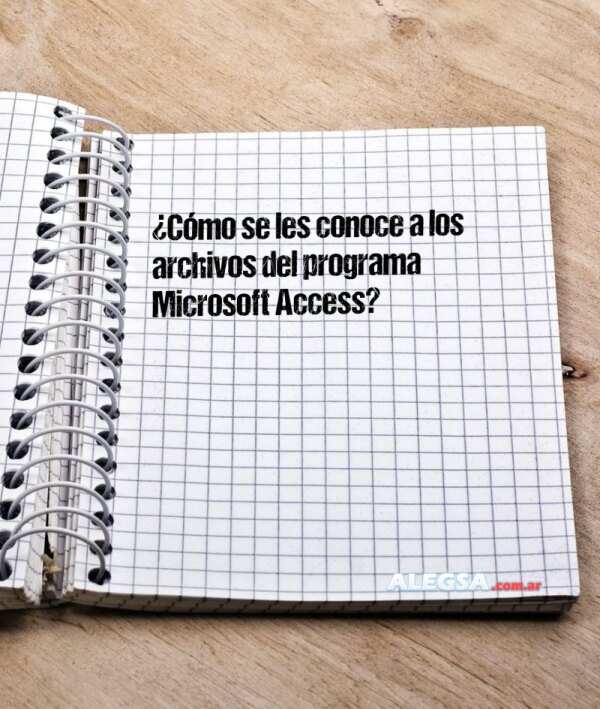 ¿Cómo se les conoce a los archivos del programa Microsoft Access?