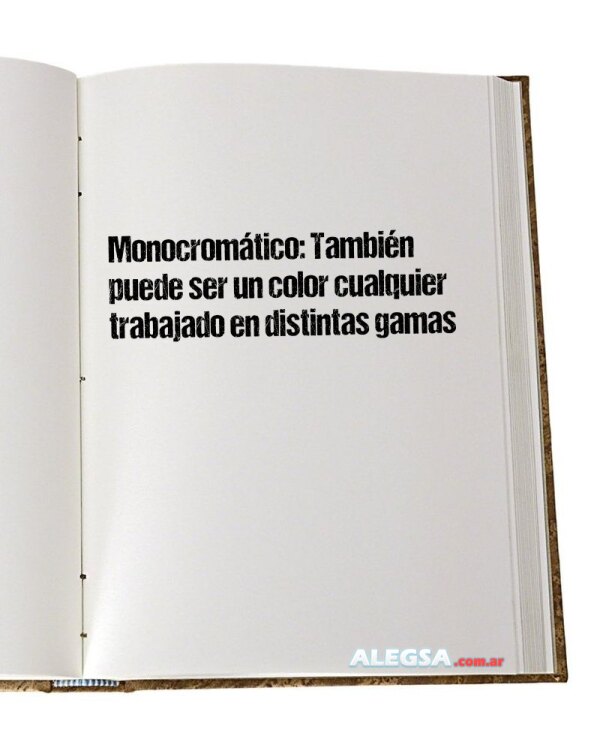 Monocromático: También puede ser un color cualquier trabajado en distintas gamas