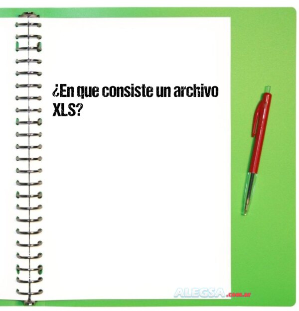 ¿En que consiste un archivo XLS?