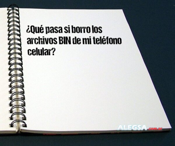 ¿Qué pasa si borro los archivos BIN de mi teléfono celular?