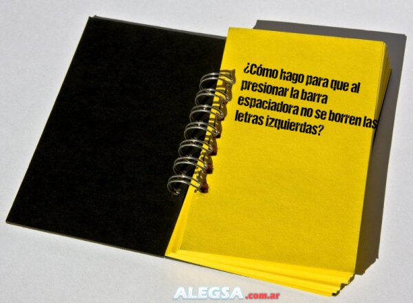 ¿Cómo hago para que al presionar la barra espaciadora no se borren las letras izquierdas?