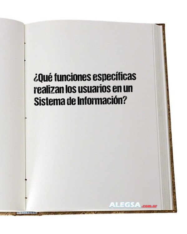 ¿Qué funciones específicas realizan los usuarios en un Sistema de Información?