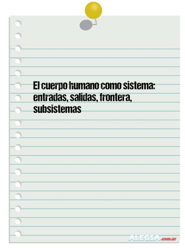 El cuerpo humano como sistema: entradas, salidas, frontera, subsistemas