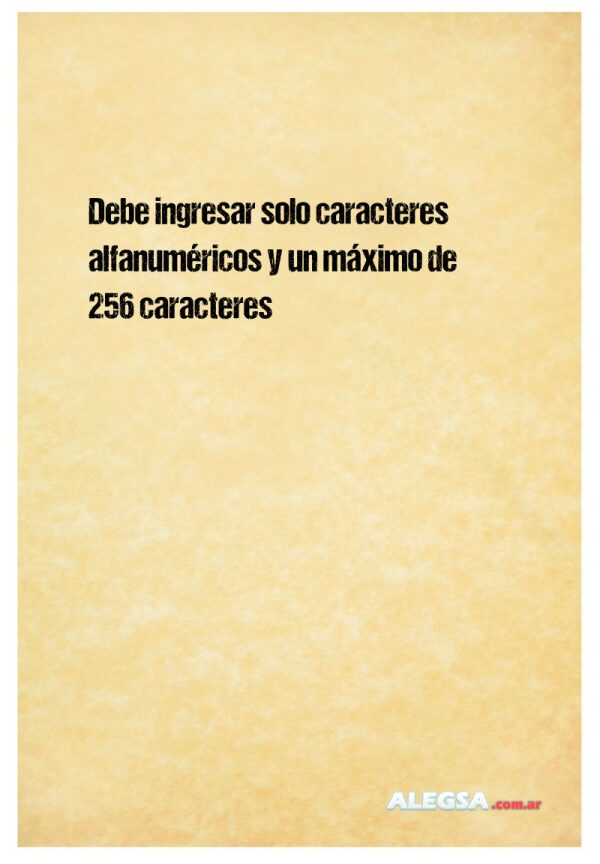 Debe ingresar solo caracteres alfanuméricos y un máximo de 256 caracteres