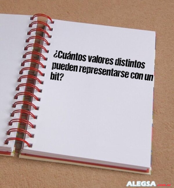 ¿Cuántos valores distintos pueden representarse con un bit?