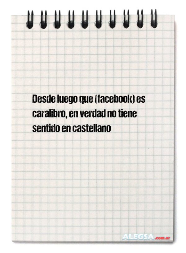 Desde luego que (facebook) es caralibro, en verdad no tiene sentido en castellano