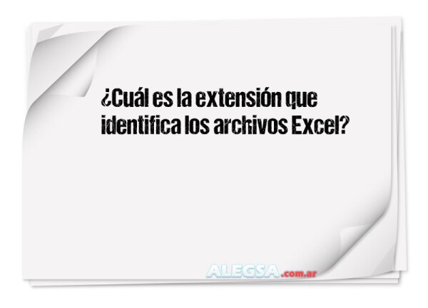 ¿Cuál es la extensión que identifica los archivos Excel?