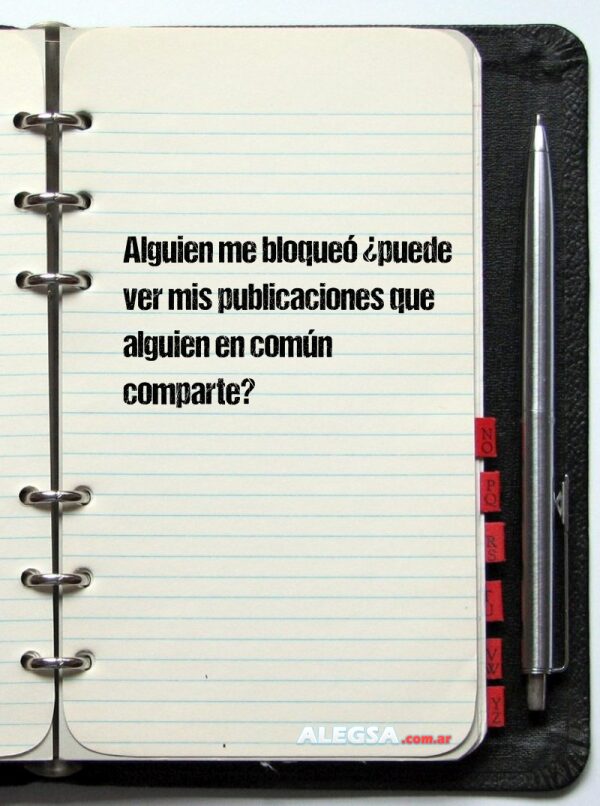 Alguien me bloqueó ¿puede ver mis publicaciones que alguien en común comparte?