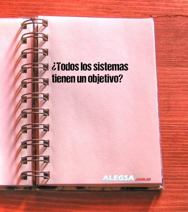 ¿Todos los sistemas tienen un objetivo?