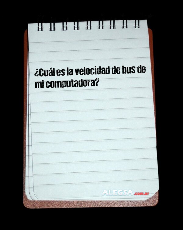 ¿Cuál es la velocidad de bus de mi computadora?