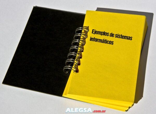 Ejemplos de sistemas informáticos