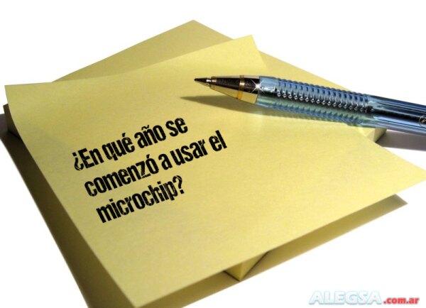 ¿En qué año se comenzó a usar el microchip?