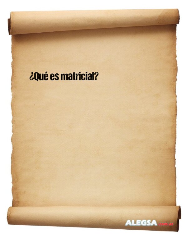 ¿Qué es matricial?