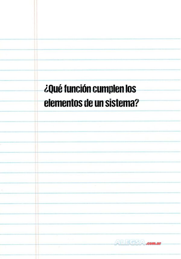 ¿Qué función cumplen los elementos de un sistema?