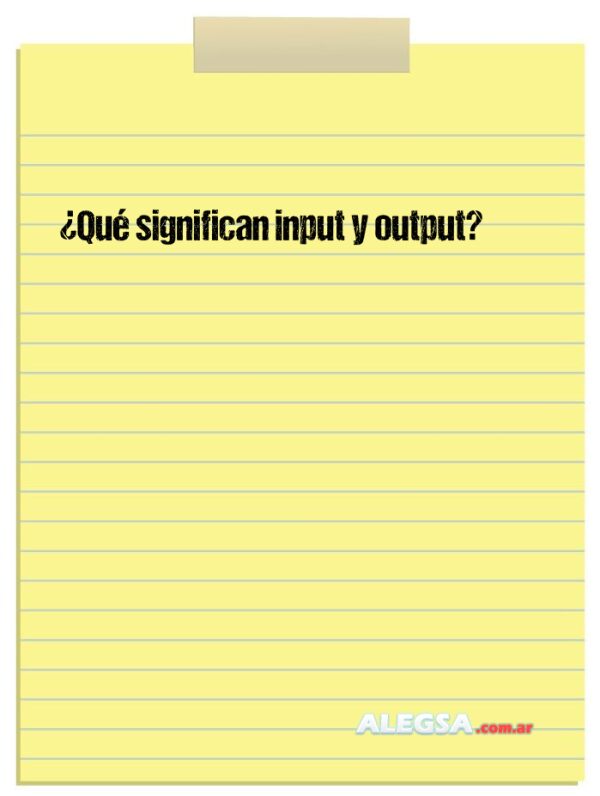 ¿Qué significan input y output?