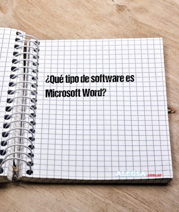 ¿Qué tipo de software es Microsoft Word?