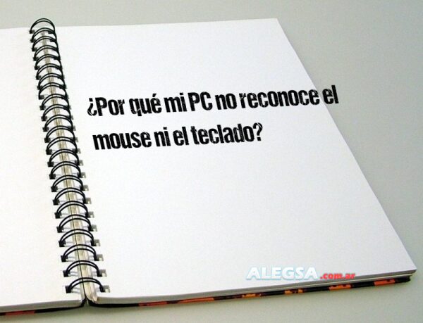 ¿Por qué mi PC no reconoce el mouse ni el teclado?