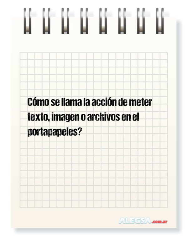 Cómo se llama la acción de meter texto, imagen o archivos en el portapapeles?