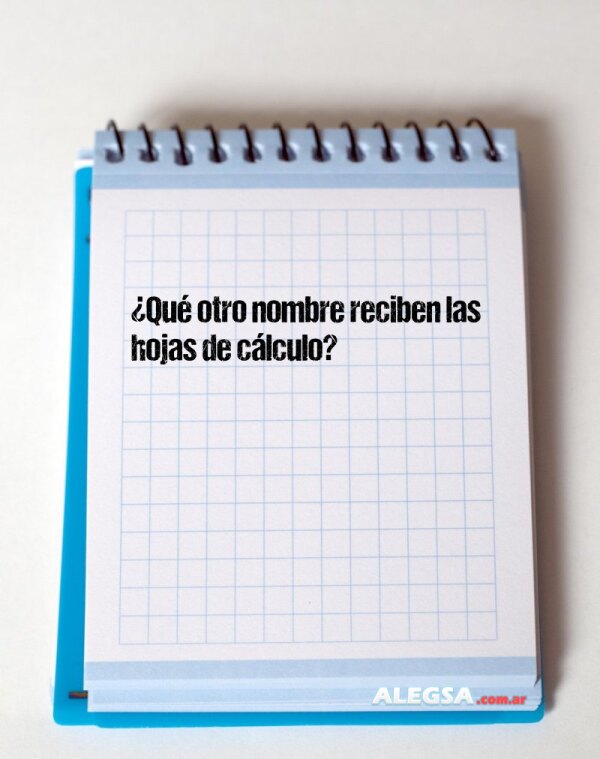 ¿Qué otro nombre reciben las hojas de cálculo?