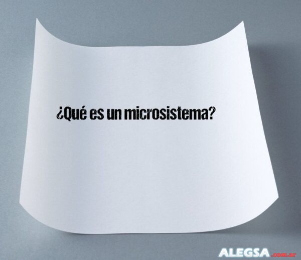 ¿Qué es un microsistema?
