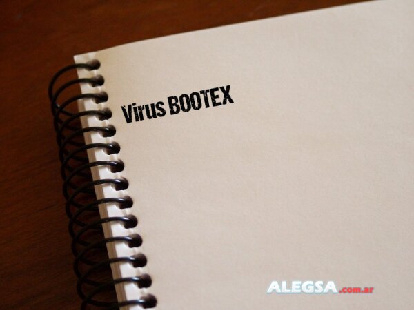 Virus BOOTEX