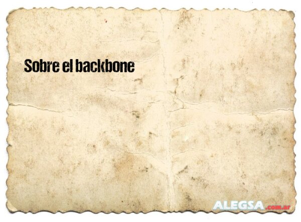 Sobre el backbone