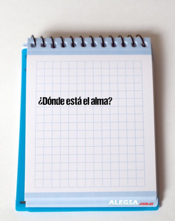 ¿Dónde está el alma?
