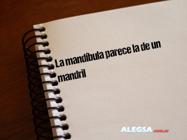La mandíbula parece la de un mandril