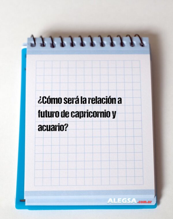 ¿Cómo será la relación a futuro de capricornio y acuario?