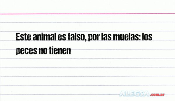 Este animal es falso, por las muelas: los peces no tienen