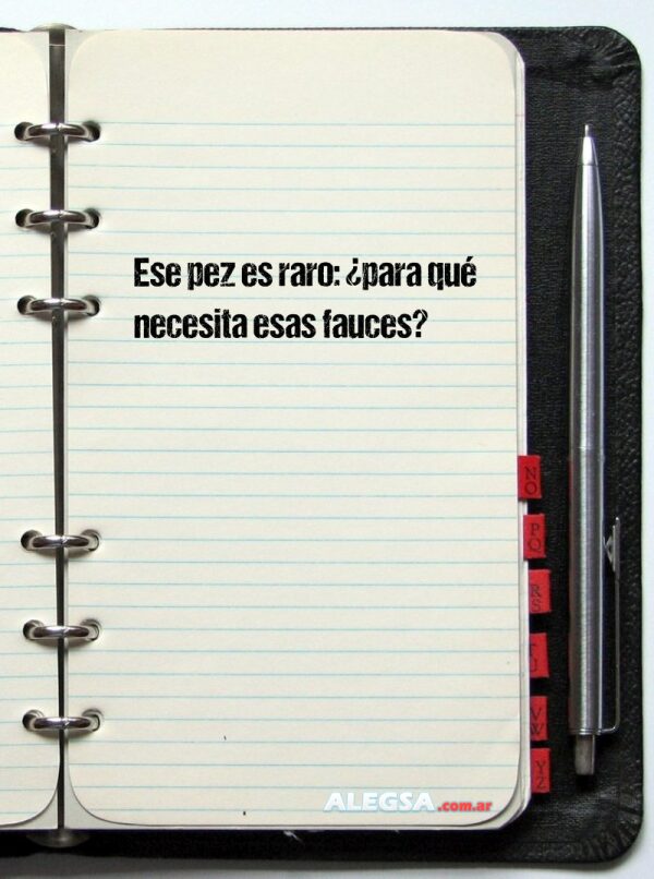 Ese pez es raro: ¿para qué necesita esas fauces?