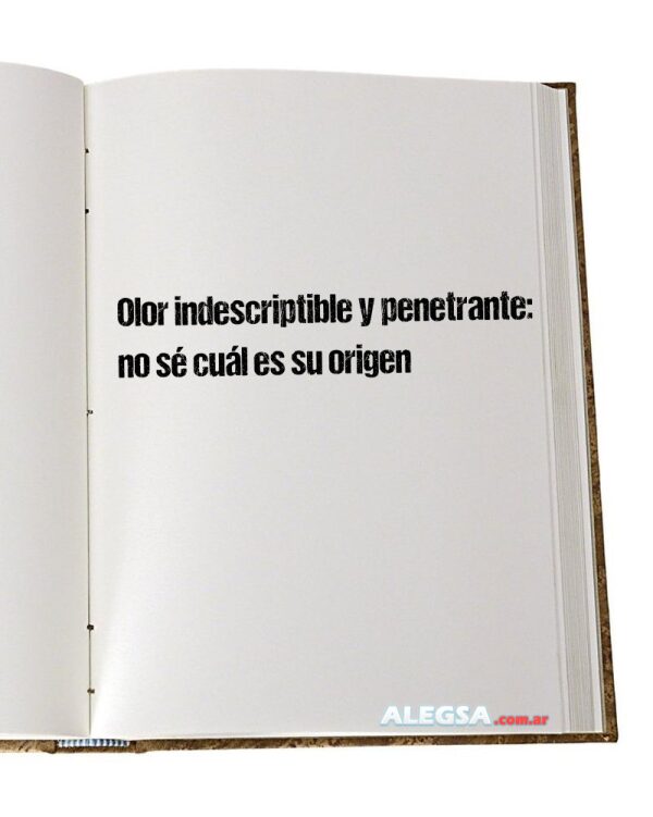 Olor indescriptible y penetrante: no sé cuál es su origen