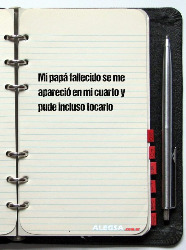 Mi papá fallecido se me apareció en mi cuarto y pude incluso tocarlo