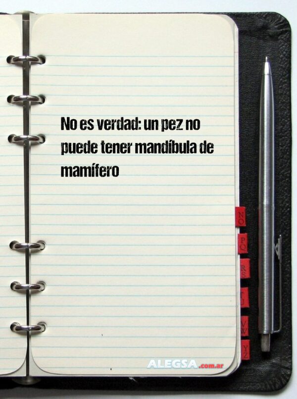 No es verdad: un pez no puede tener mandíbula de mamífero