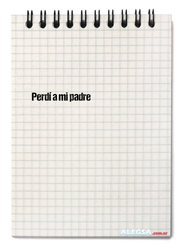 Perdí a mi padre
