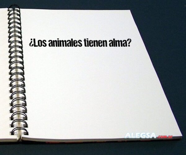 ¿Los animales tienen alma?