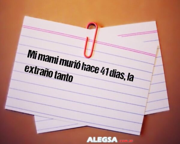 Mi mami murió hace 41 dias, la extraño tanto