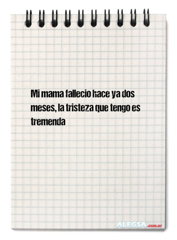 Mi mama fallecio hace ya dos meses, la tristeza que tengo es tremenda