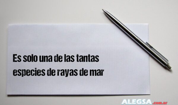 Es solo una de las tantas especies de rayas de mar