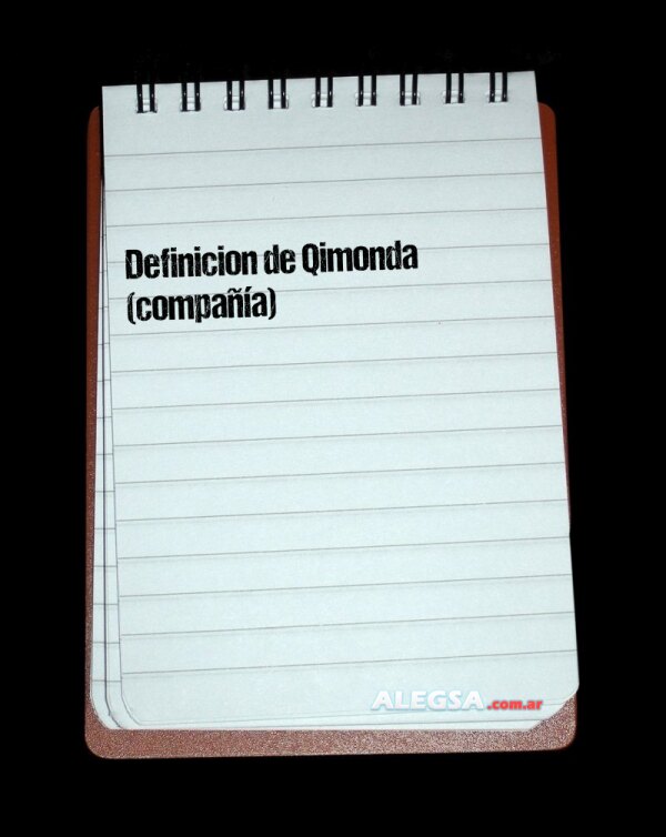 Definición de Qimonda (compañía)