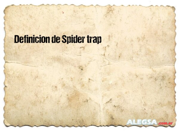 Definición de Spider trap