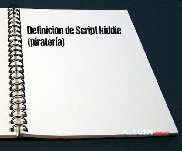 Definición de Script kiddie (piratería)
