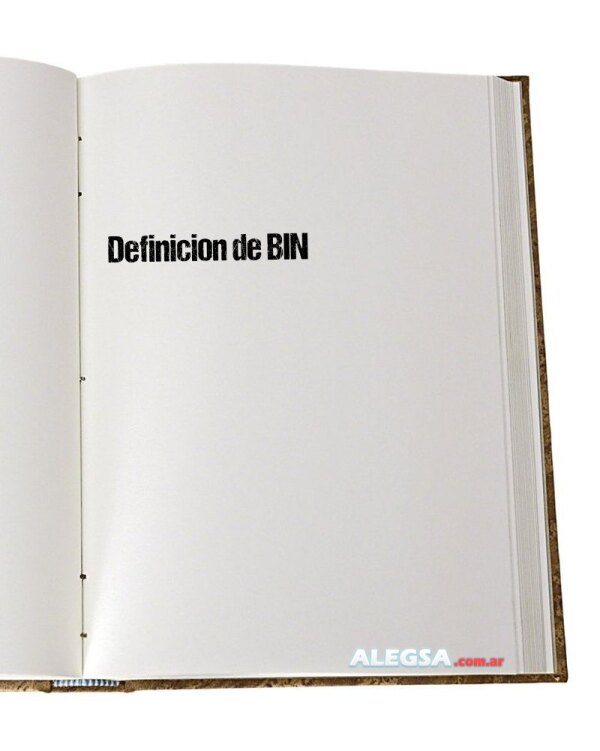 Definición de BIN