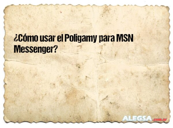 ¿Cómo usar el Poligamy para MSN Messenger?