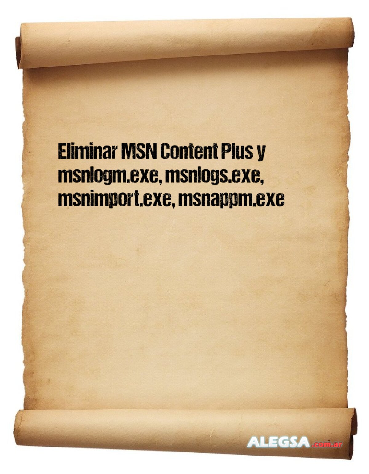 Eliminar MSN Content Plus y msnlogm.exe, msnlogs.exe, msnimport.exe, msnappm.exe 