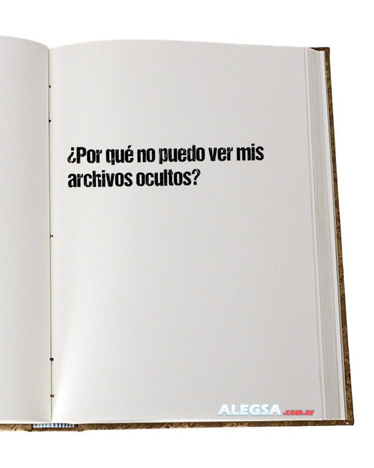 ¿Por qué no puedo ver mis archivos ocultos? 