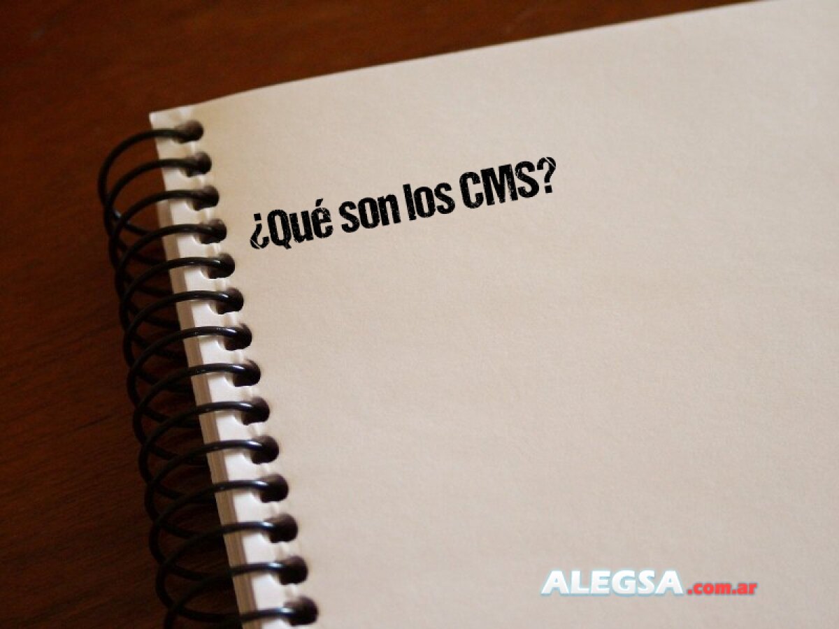 ¿Qué son los CMS? 